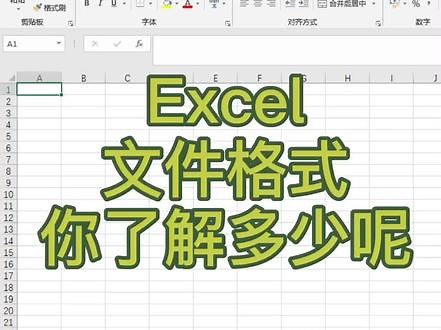 保存的Excel文件格式你了解多少呢，今天学习常见文件格式区别。#excel技巧 #职场 #excel