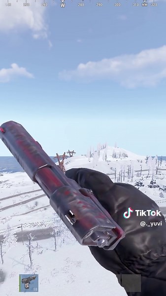 Geva's P2 Skin Showcase in Rust Game