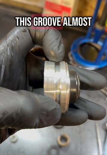 Affordable Seal Installation Tips for Homeowners