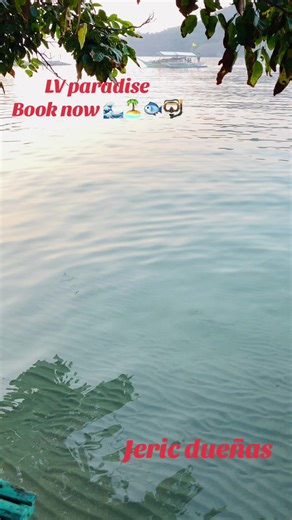 More book ngayon summer paunahan lang po sa slot first come first serve down payment nun-refundable 🏝️🌊🐟🤿👌#batangas #beachvibes #morebookingstocome🙏🙏🙏🥰🥰🥰 #thankyou