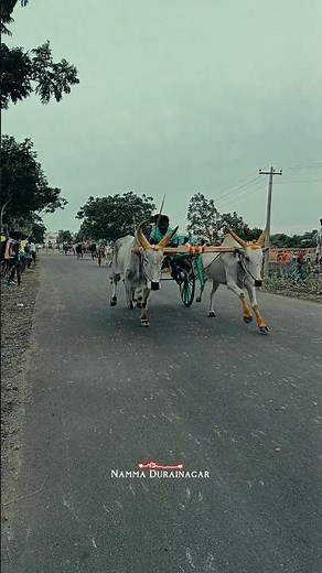 🧳Enga ooru✈️ vandi // Namma🚦 Durainagar // 📍Kdsp status #gwn #travel #vlog #bus #agriculture