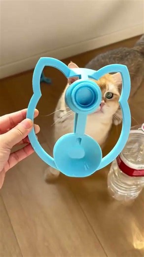 I Regret Buying Expensive Cat Fountains 😿 Try This Simple Hack!