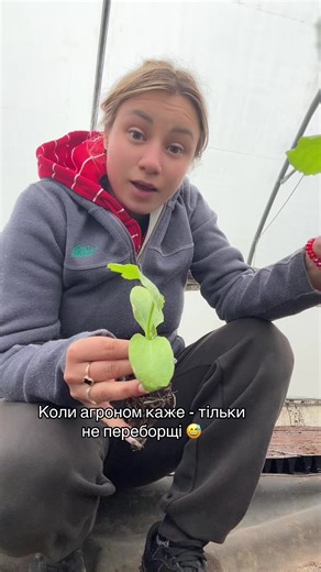 #кабачок #кукуруза #рекомендации #отопление #теплица