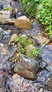 Eden Hills pondless waterfall 🌊🌿 Getting a pondless waterfall installed in your yard offers many great benefits. Firstly, it provides the soothing and tranquil sound of flowing water, creating a serene atmosphere that can help you relax and unwind after a long day. Unlike traditional ponds, pondless waterfalls do not require the same level of maintenance and upkeep. Additionally, they are a safer choice for families with small children or pets since there is no standing water. The absence of a