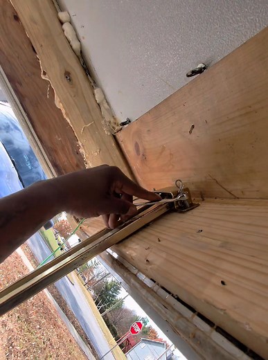 AlientheDavinci MrGrey IndigoAlien-Neal on Reels