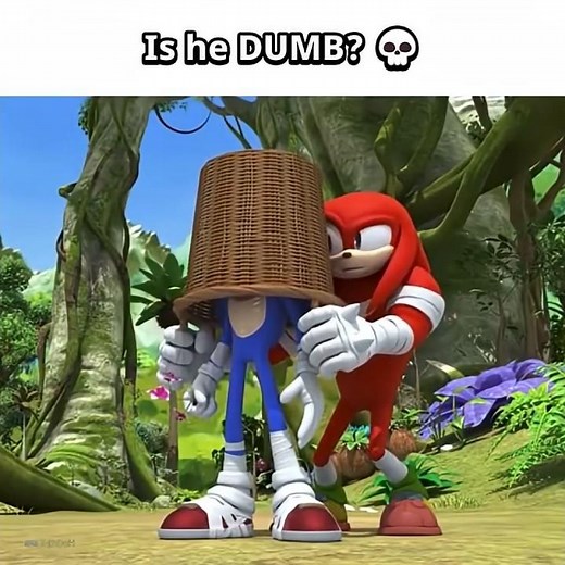 Knuckles has NEGATIVE IQ 💀 #sonic #memes