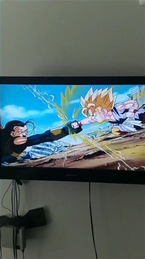 Z Fighters Vs. Super Android 17