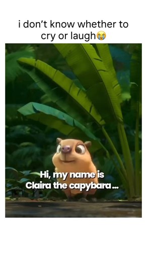 Memes & Movies on Instagram: "Rio 2 is a colorful and energetic animated sequel that follows Blu, Jewel, and their three kids as they leave the familiar city life of Rio de Janeiro and venture deep into the Amazon rainforest. While Blu struggles to fit in with the wild ways of the jungle, Jewel reconnects with her roots and extended family, creating tension and heartfelt moments within their relationship. The movie blends humor, adventure, and catchy music as the family faces new animal rivals,