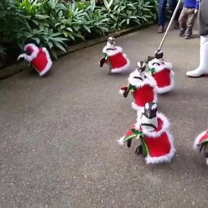 All dressed for the Christmas party like... (via Imgur) | Women's Health UK