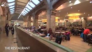 Take a trip through the Natural History Museum