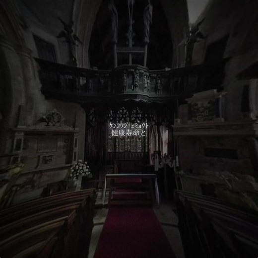 推しが夢に出てきた！特別な歌詞動画