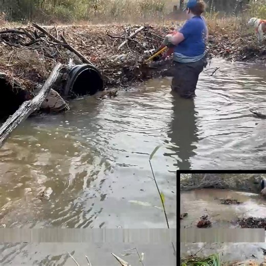 Opens blocked drainage channels | Drain channel