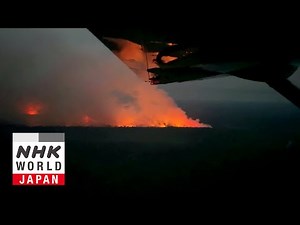 COP30 Special Edition: The Amazon Rainforest - IMPACTS: Climates Change the World