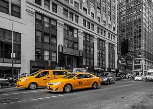 How to make photos black and white except for one color (best apps)  — Design Pieces