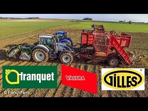 Arrachage Betteraves VALTRA poste inversé FRANQUET-GILLES II