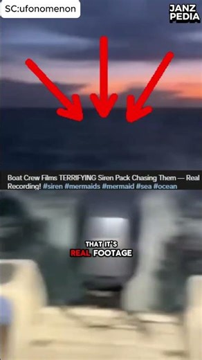 Real Mermaid Chase? Viral TikTok Video Sparks Huge Debate!