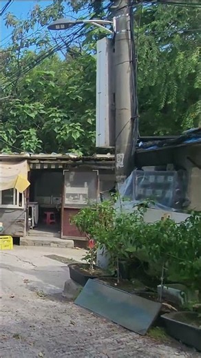 The Seoul Nobody Wants You to See 😳 Guryong Village