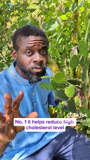 Discover the Hidden Benefits of Tuna Cactus