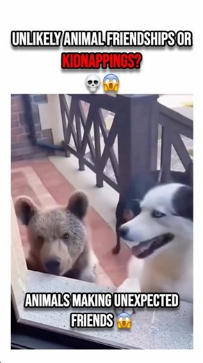 Dogs bringing home random 'friends' is a mood 😂 #shorts