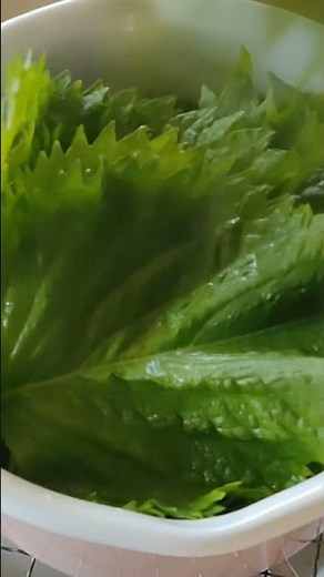 材料３つ で 簡単！【青 しそ ジュース 🌿✨】 リンゴ酢 で ダイエット 効果がすごい！毎日1杯の健康飲料 大葉ジュース 夏バテ予防！ 残ったシソの活用法 砂糖不使用 #shorts