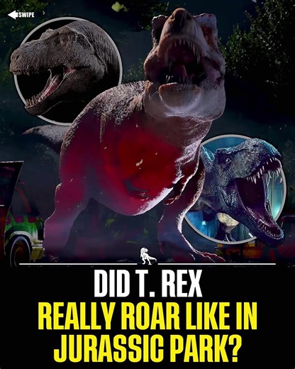 For over three decades, popular media has shaped our perception of dinosaur vocalizations. However, emerging research in comparative anatomy and phylogenetic bracketing suggests that non-avian theropods may not have produced the dramatic, mammalian-style roars often portrayed on screen. Extant archosaurs-particularly birds and crocodylians–provide important clues. Many large-bodied species rely on low-frequency rumbles, closed-mouth vocalizations, and resonant booms rather than open-mouthed roar
