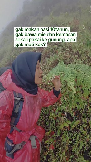 Dampak Penebaran Ikan di Segara Anak Rinjani