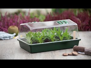 MINI SERRE 6020210 FR