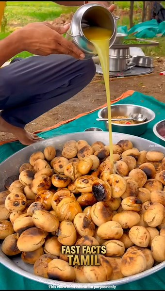 ராஜஸ்தானோட பாரம்பரிய உணவு இப்படித்தான் இருக்குமா? #shorts #fastfactstamil