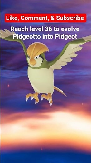 How to evolve Pidgeotto #pokemon #pokemonlegendsz-a