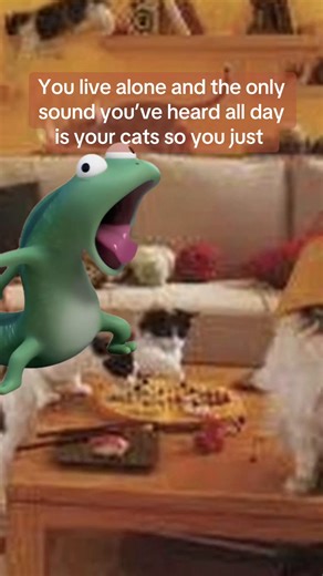 #lizard #tomlizard #funny #Meme #MemeCut