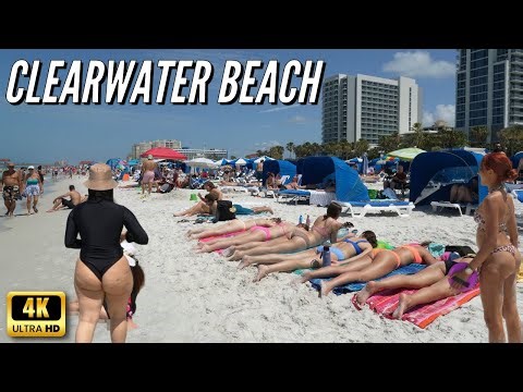 Clearwater Beach Paradise