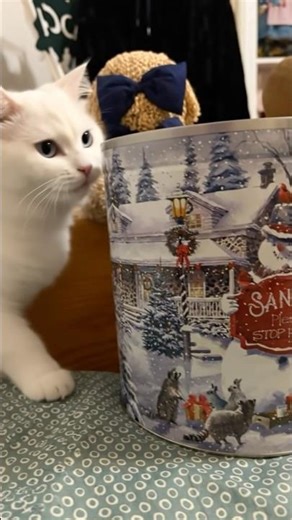 Kitty Purrs By Christmas Popcorn Tin 12/9 #christmas #popcorn