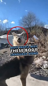 405K views · 8.7K reactions | I want to start by saying that I don't...