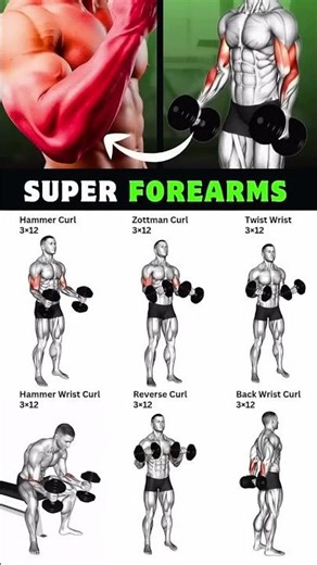 foraams workouts best foraam workout #forearms #bestchestexercise