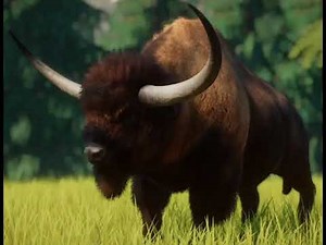 Bison Latifrons (Long Horned Bison) Sounds J.W