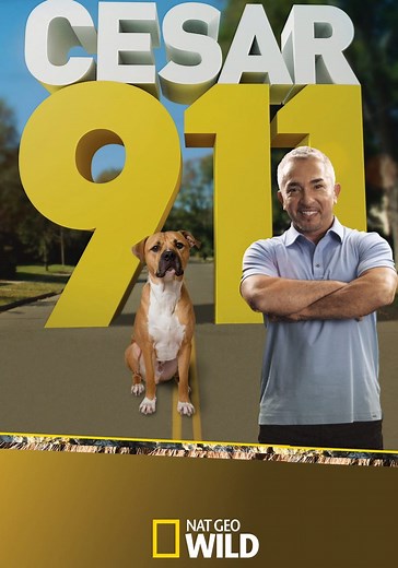 Cesar 911 Season 4 - watch full episodes streaming online
