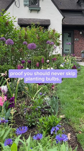 Bulbs are one of the easiest and most affordable ways to bring pure magic to your garden. 🌸🌷 We get it, planting bulbs in the fall doesn’t give you that instant gratification the way annuals do, but not planting them will be your biggest regret come spring. Don’t skip bulbs, and be rewarded with showstopping beauty after a cold & flowerless winter ✨🌷 #cottagegarden #gardeninspiration #gardenideas #gardendesign #gardentok