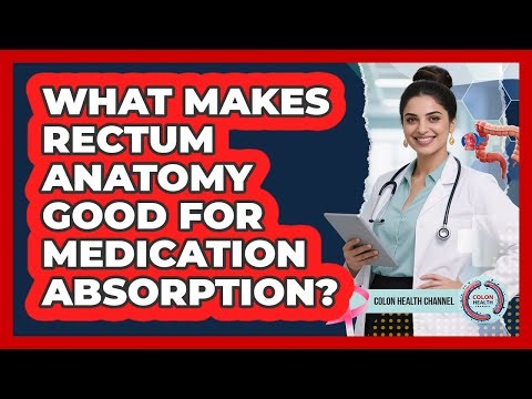 What Makes Rectum Anatomy Good For Medication Absorption? - Colon Health Channel