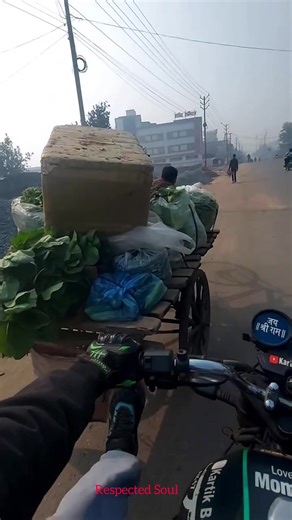 Compassionate Acts to Alleviate Poverty