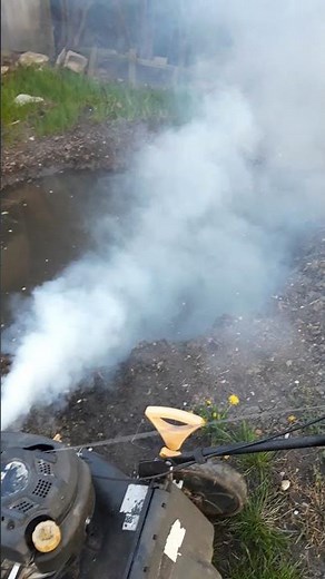 Hard smoking engine - what could be wrong?