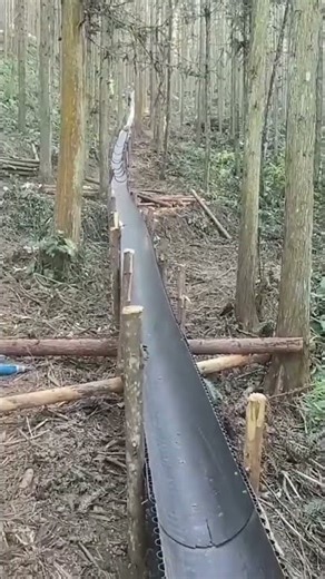 Traditional Timber Transport via Chutes in Steep Terrain