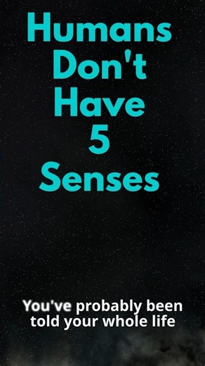 You DON'T Have Just 5 Senses 👀🧠