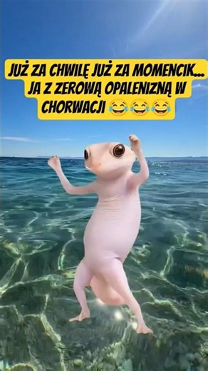 Tak będzie, nie zmyślam 😆 #travel #śmieszne #dlaciebie #chorwacja