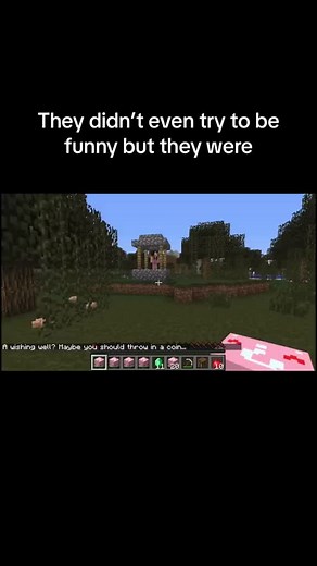 #pat #jen #patandjen #furiousdestroyer #supergirlygaming #popularmmos #tiktokpulse #patfurious #viral #minecraft