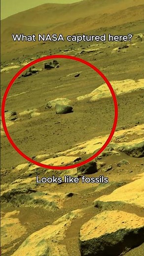 Real Mars Footage — Sol 198. Not CGI.
