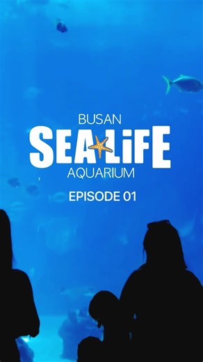 Busan Sea Life Aquarium - Episode 01