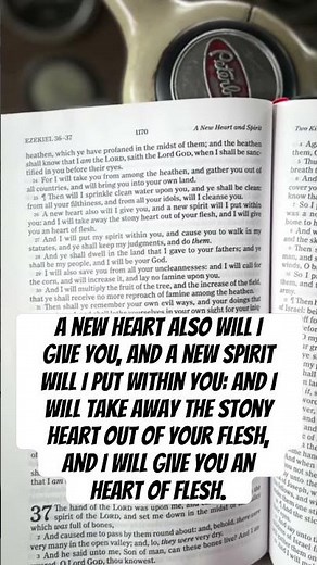 Morning Fuel Ezekiel: 26-27 #faith