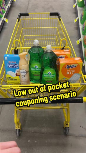 Dollar General couponing scenario and coupon adjustment explained. ##Sale##Deal##Coupon
