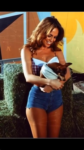 BOARS NEST a Dukes of Hazzard Museum on Reels