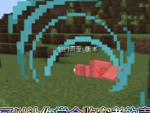 分享我的世界一些和朋友促进友谊的指令